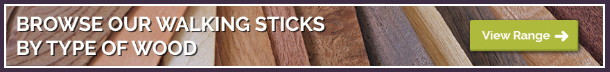 Shop Walking Sticks with All Your Favourite Wood Types
