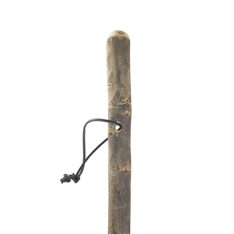 A Guide To Wooden Walking Sticks - WalkingSticks.co.uk