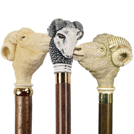 Ram Handle Walking Sticks