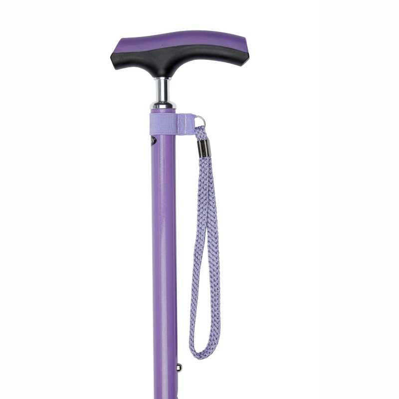 https://www.walkingsticks.co.uk/user/products/Charles_Buyers_54AC_walking_stick_light_purple_new-1.jpg