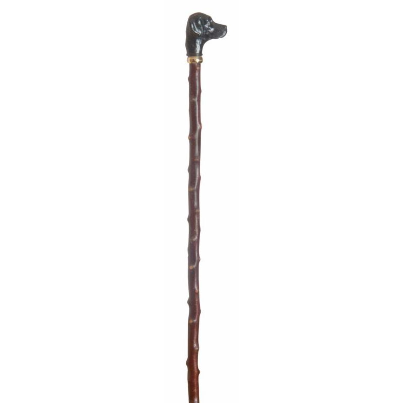 Blackthorn Walking Stick Limited Supply Natural Product Made in Ireland