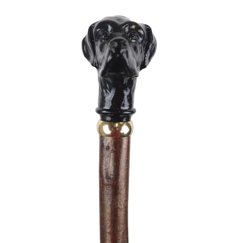 Black Labrador Handle Blackthorn Walking Stick