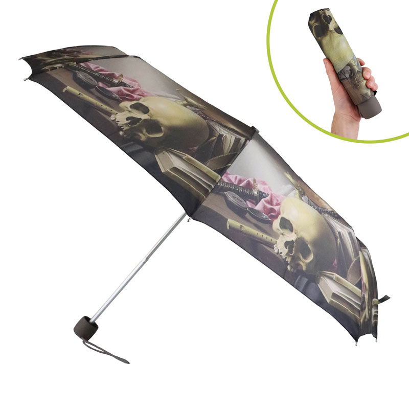 Fulton Minilite 2 National Gallery Foldable Umbrella (Still Life by Harmen Steenwijck)