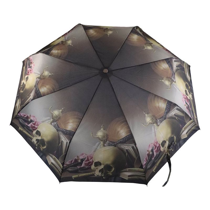 Fulton Minilite 2 National Gallery Foldable Umbrella (Still Life by Harmen Steenwijck)