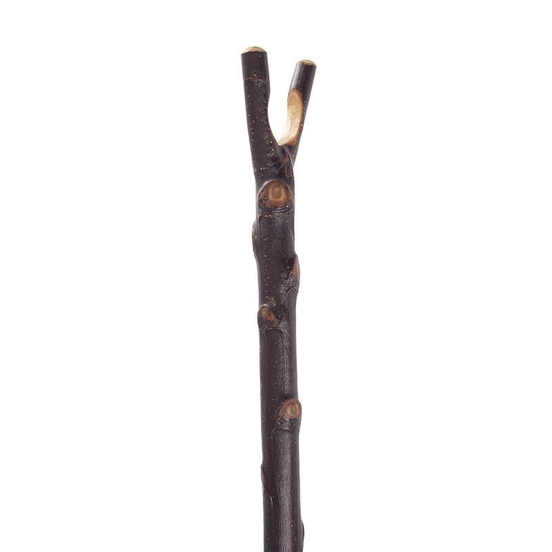 Natural Chestnut Thumbstick with Bark - WalkingSticks.co.uk