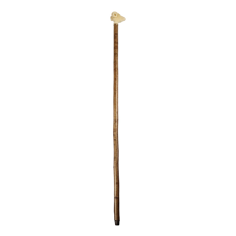 Ram Handle Hazel Walking Stick